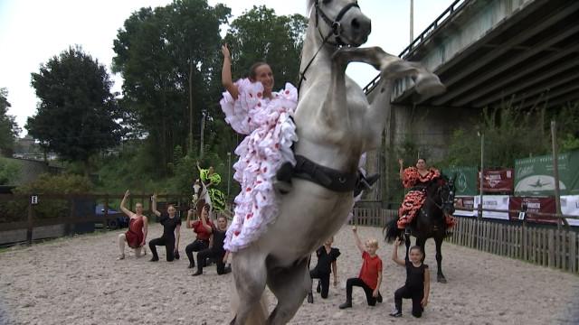Feria à Grâce-Hollogne: le spectacle Lar'Allegria les 16 et 17 août