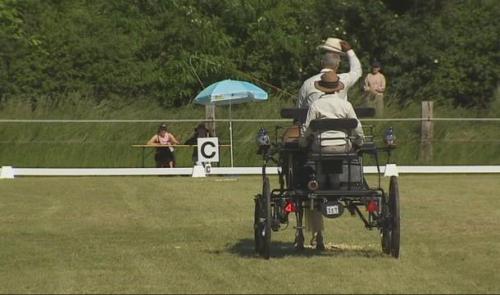 Flémalle : 95 inscrits au concours national d'attelage 