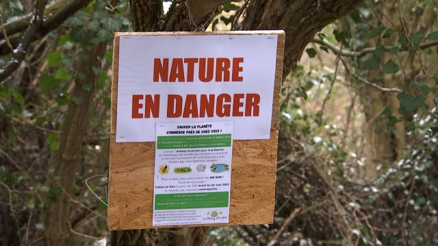 Flémalle: Crowdfunding pour sauver le Bois d'à côté