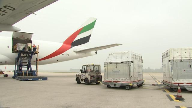 Forem et Liège Airport : des centaines d'emplois!