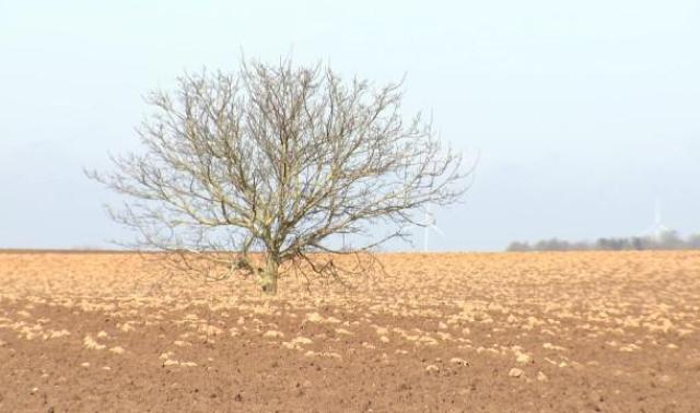 Générations Terre: comment aller vers une agriculture durable