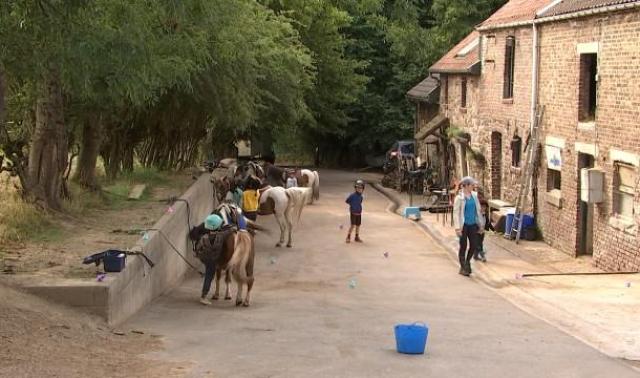 Gomzé-Andoumont: l'asbl Pégase a du mal à nouer les deux bouts
