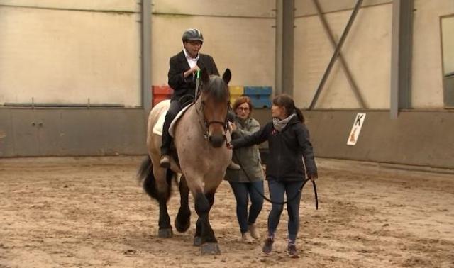 Hippopassion: un concours d'équitation adaptée pour clôturer l'année en beauté