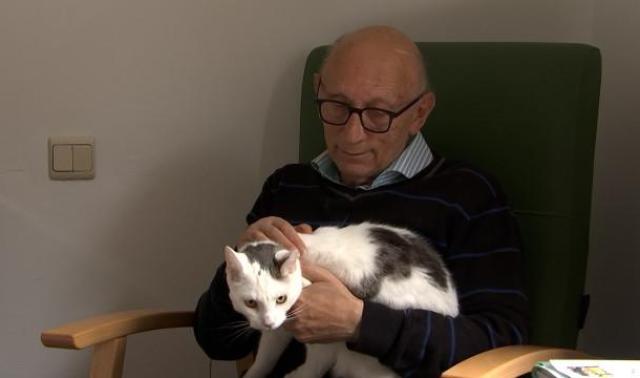 Home de Seny: un chat pour réconforter les résidents