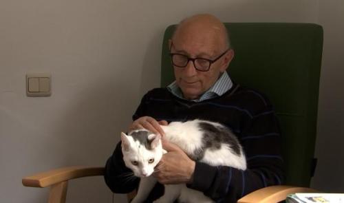 Home de Seny: un chat pour réconforter les résidents