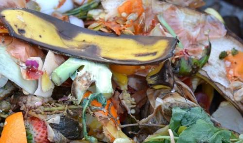 Huy : bilan positif de la collecte des déchets organiques