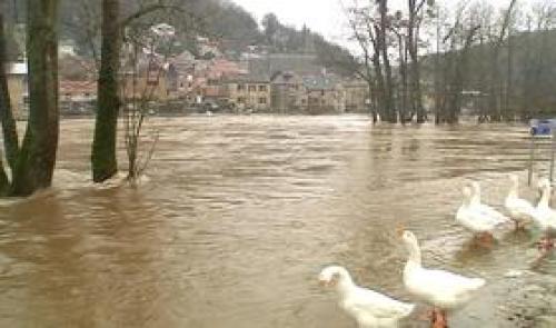 Ourthe : situation critique à Esneux
