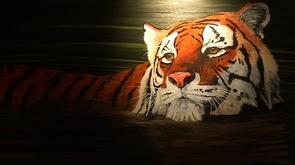 Fléron : exposition d'artistes de chez nous et d'ailleurs