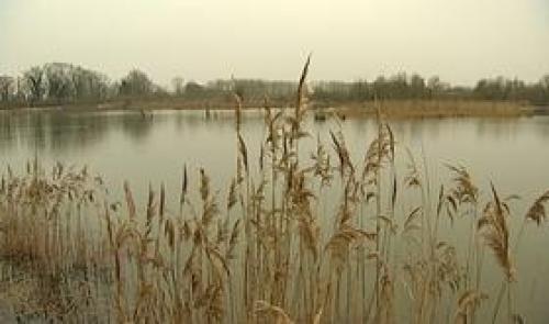 Hollogne-sur-Geer : chantier nature en faveur de la biodiversité