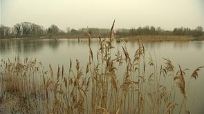 Hollogne-sur-Geer : chantier nature en faveur de la biodiversité