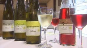 Flémalle : viticulteur au Mont des Pennes