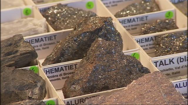 Interminéral : pierres et fossiles au Palais des Congrès de Liège 