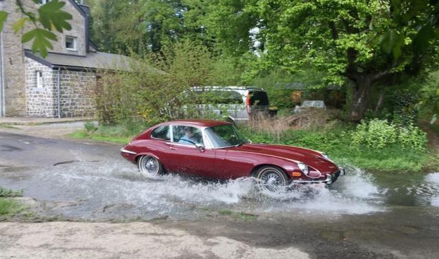 Des Jaguars dans le Condroz !