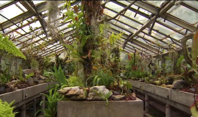 Jardin botanique : bourse aux plantes et aux graines 