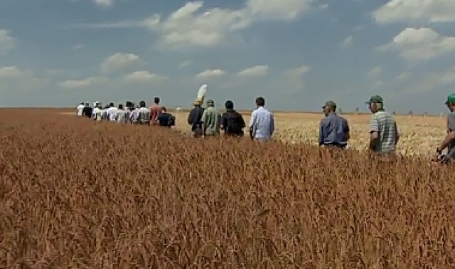 La superficie agricole bio recule légèrement, mais le consommateur wallon reste fidèle