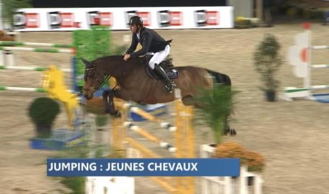 Jumping de Liège : la compétition des jeunes chevaux 