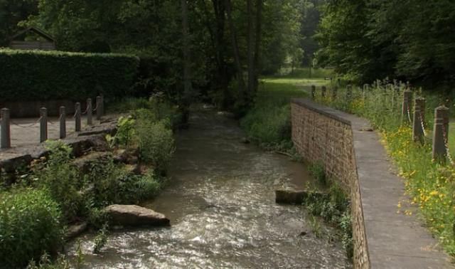L'été de nos rivières: la biosurveillance des eaux du Néblon 