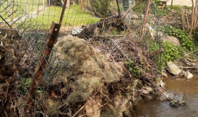 L'été de nos rivières: les déchets verts véritables nuisances
