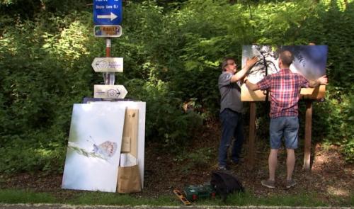 L'expo en plein air du Photo Club Beynois sur la Ligne 38 