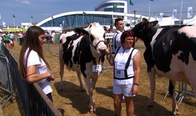La relève de l'agriculture liégeoise à la foire de Libramont