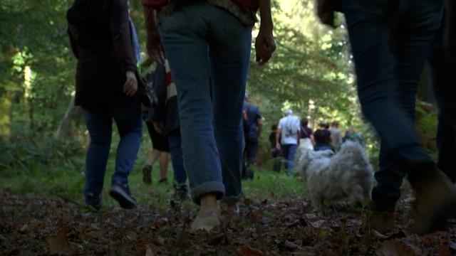 La semaine des sentiers : redécouverte de l'arboretum de Seraing 