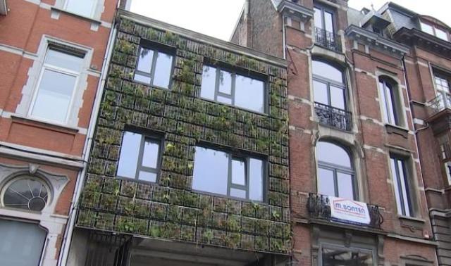 La végétalisation urbaine, le défi d'une spin-off de l'ULiège  