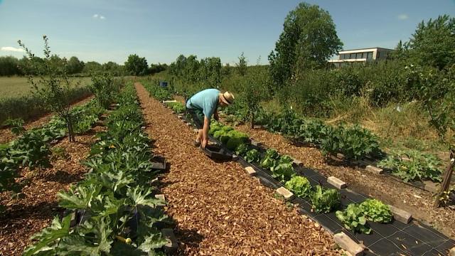 Lanaye: le potager d'un particulier prend de l'ampleur 