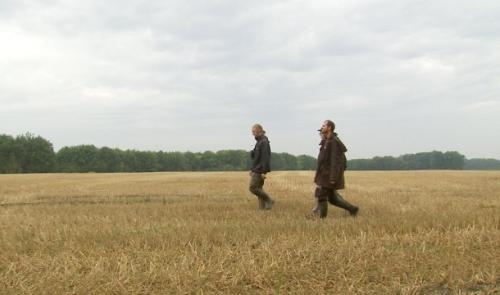 Le bois des Pendées pour conserver la biodiversité 