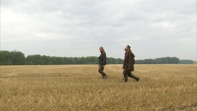 Le bois des Pendées pour conserver la biodiversité 