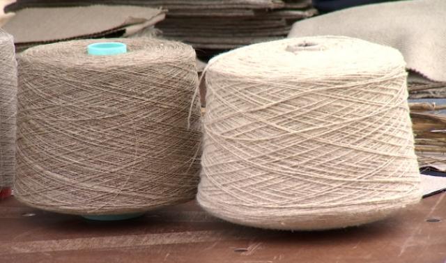 Le chanvre textile a de réelles potentialités en Belgique