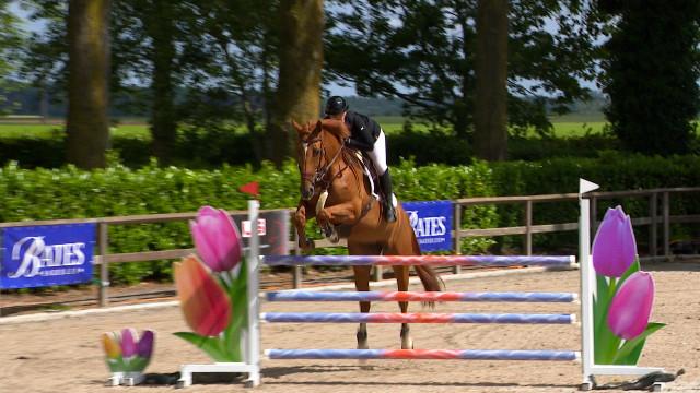 Le "Classic Tour Faimes" : l'avènement d'un jumping national au Haras des Waleffes