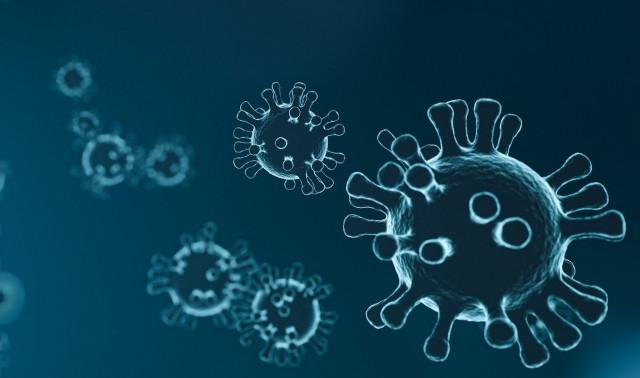 Le nombre de contaminations double en Province de Liège