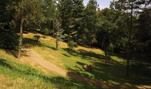 Le parc de Cointe, le plus complet des parcs liégeois 