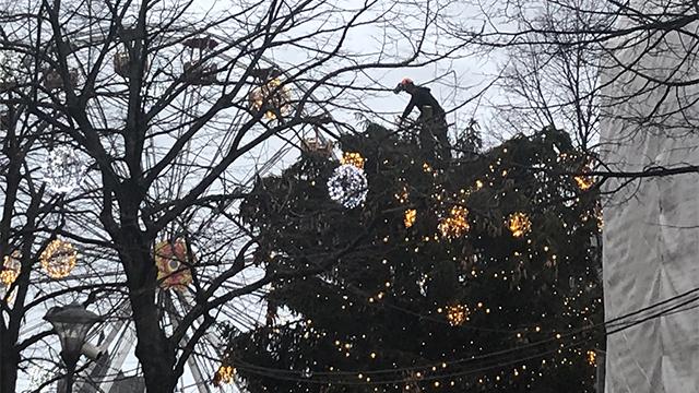 Le sapin de Noël du Marché de Noël en cours d'élagage