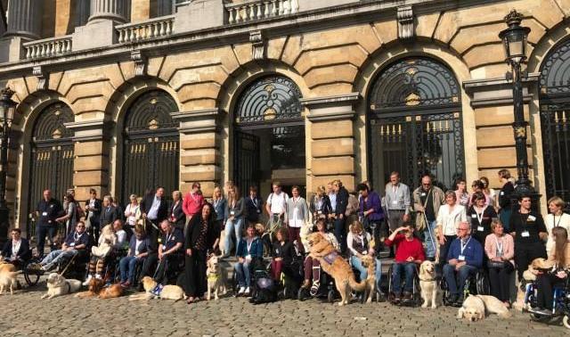 Les chiens d'assistance au Sénat 