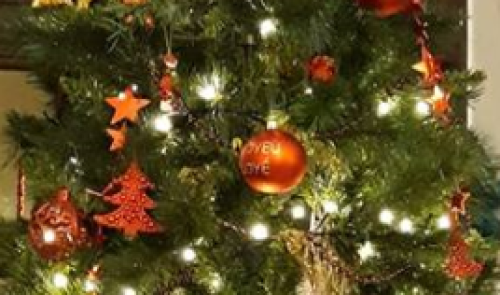 Liège : collecte des sapins dès le 7 janvier 