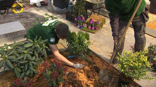 Liège: Concours du meilleur jeune jardinier