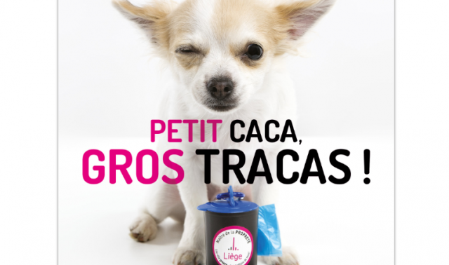 Liège : petit caca, gros tracas et 175 euros d'amende 