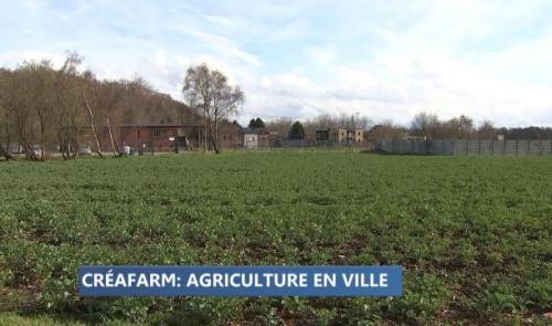 Liège : un projet de maraîchage dans le quartier des Tawes