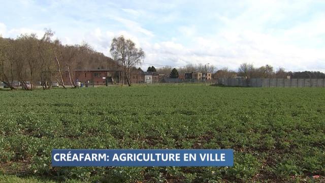 Liège : un projet de maraîchage dans le quartier des Tawes