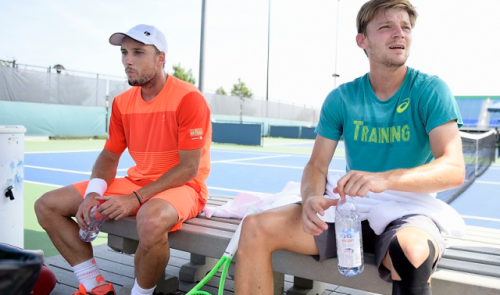Open d'Australie : David Goffin passe, Steve Darcis éliminé