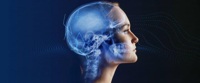 Osimis lève 1,6 million d'euros pour développer l'intelligence artificielle dans l'imagerie médicale
