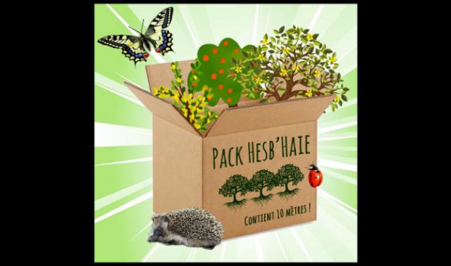 Packs Hesb'haie: on remet le couvert!
