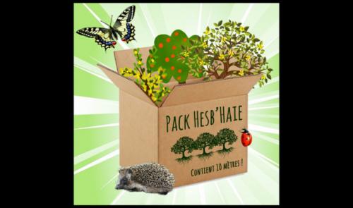 Packs Hesb'haie: on remet le couvert!