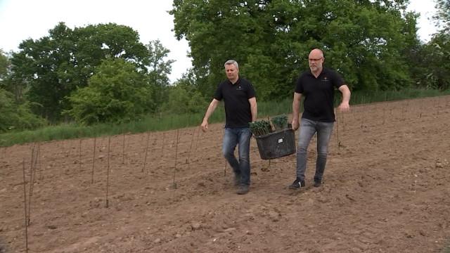 Vivardent plante ses vignes à Sprimont