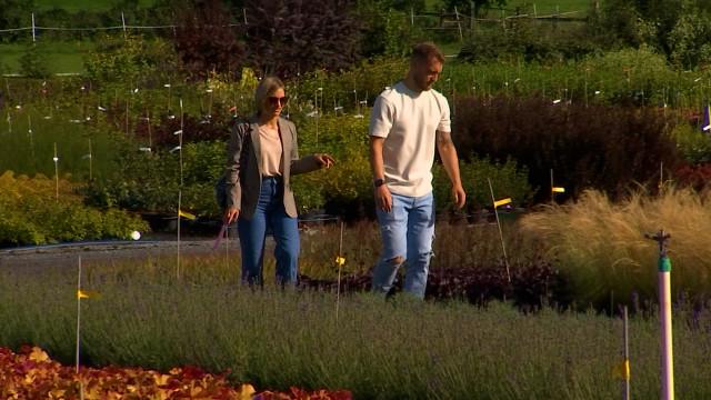 Planter dans son jardin maintenant ? C'est possible ! 