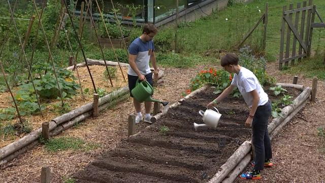 Pot'ingé : le potager universitaire collectif et connecté 