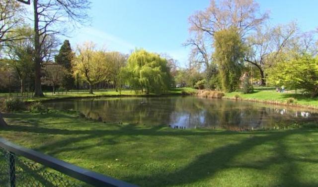 Projet de restauration du jardin botanique 