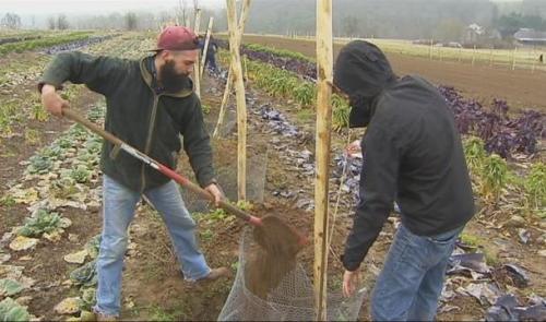 Restaurons la Terre : un projet d'agro-foresterie entre Nord et Sud