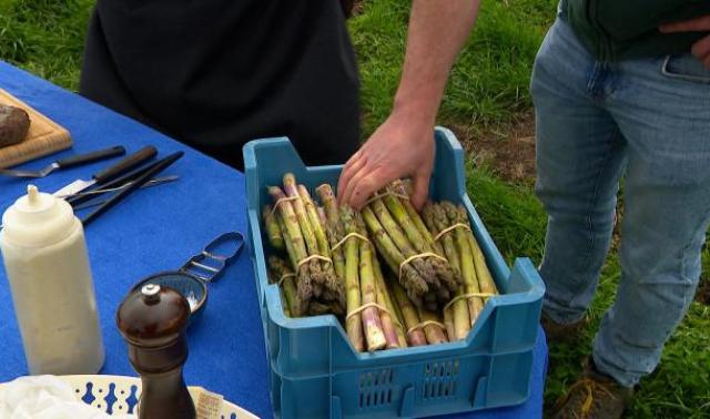 Rosoux: la saison des asperges a démarré avec trois semaines d'avance!